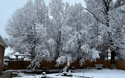 Does Cold Weather Make you sick? 10 Myths about Cold Weather