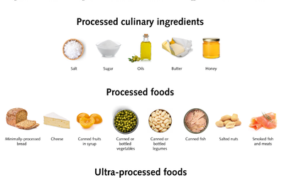 Effect of Ultrapocessfoods, Breakfast for Kids, and Night Owls on Mental Health