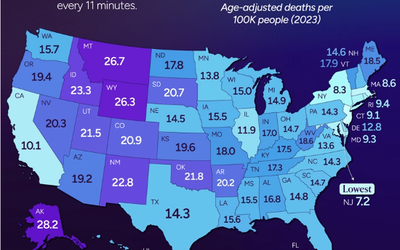 Suicide Rate by States of the USA